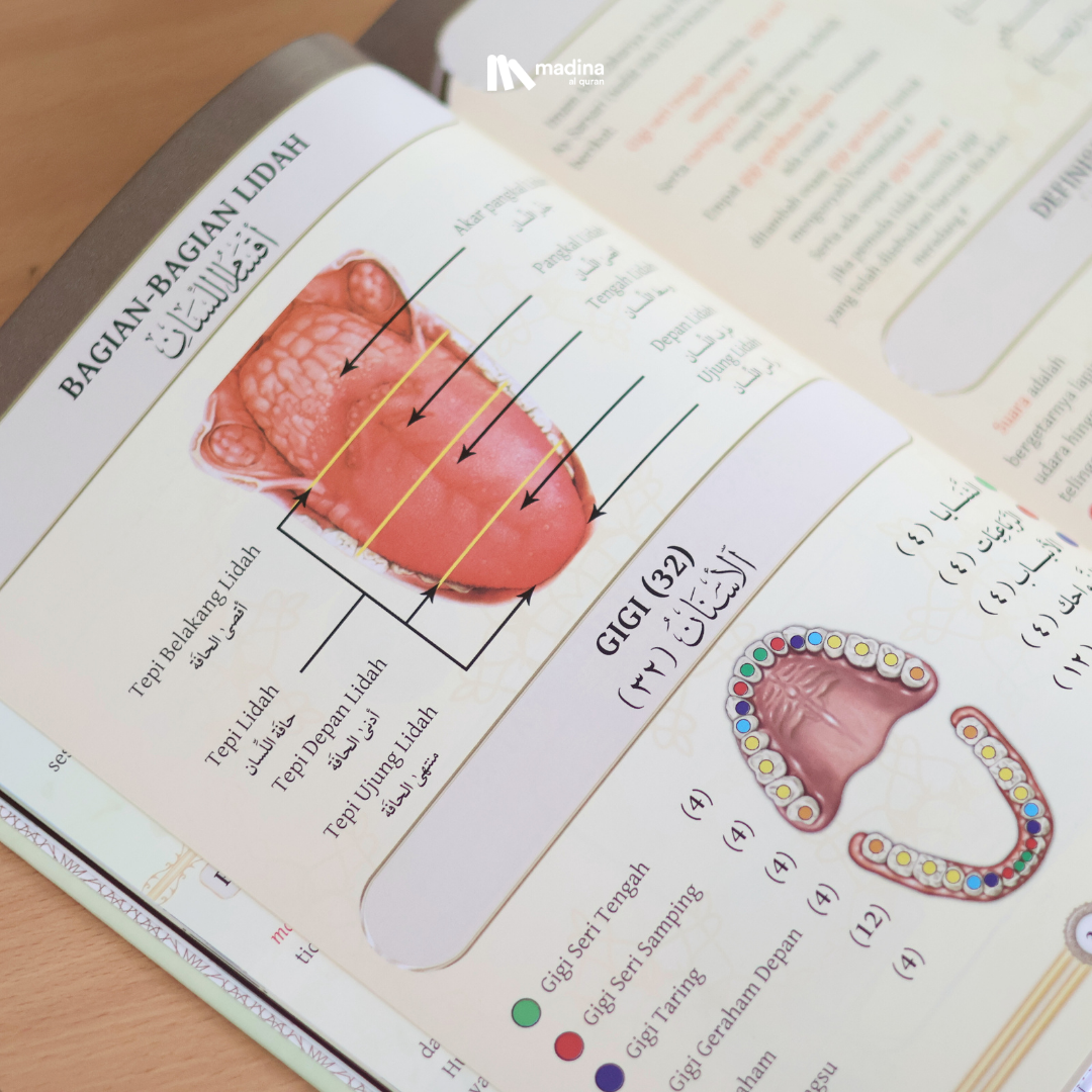 Kitab Tajwid Bergambar Dr. Aiman Rusydi Suwaid Original